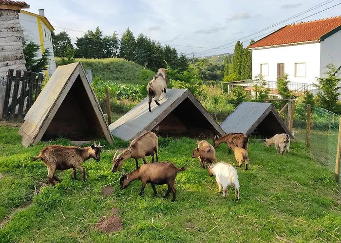 Casa Gil, Quinta Carmo - Alcobaca/ Nazare *